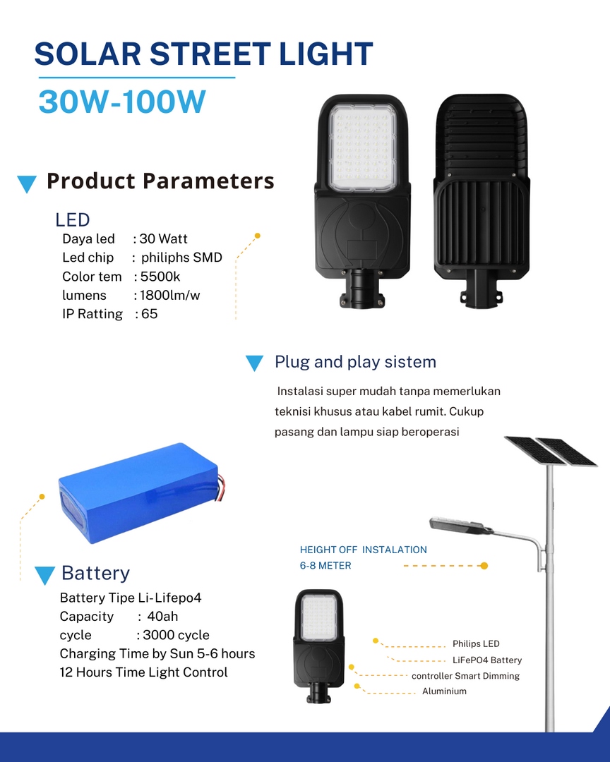 Solar Street Light 30W-100W